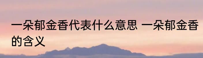 一朵郁金香代表什么意思 一朵郁金香的含义