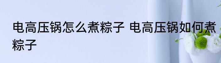 电高压锅怎么煮粽子 电高压锅如何煮粽子