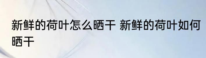 新鲜的荷叶怎么晒干 新鲜的荷叶如何晒干