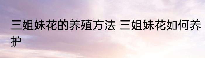 三姐妹花的养殖方法 三姐妹花如何养护