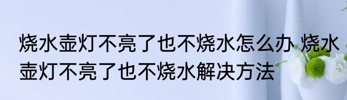 烧水壶灯不亮了也不烧水怎么办 烧水壶灯不亮了也不烧水解决方法