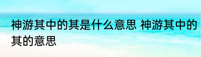 神游其中的其是什么意思 神游其中的其的意思