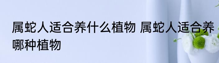 属蛇人适合养什么植物 属蛇人适合养哪种植物