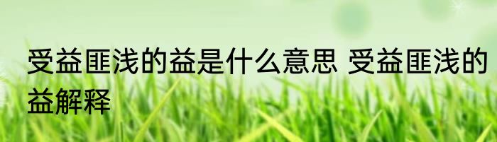 受益匪浅的益是什么意思 受益匪浅的益解释