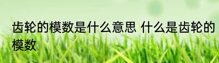 齿轮的模数是什么意思 什么是齿轮的模数