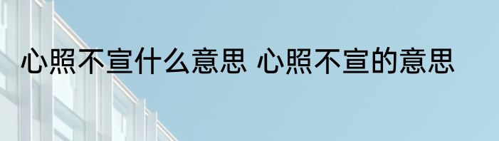 心照不宣什么意思 心照不宣的意思