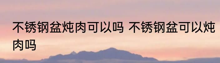 不锈钢盆炖肉可以吗 不锈钢盆可以炖肉吗