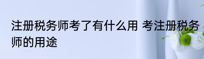 注册税务师考了有什么用 考注册税务师的用途