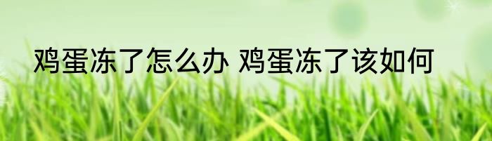鸡蛋冻了怎么办 鸡蛋冻了该如何