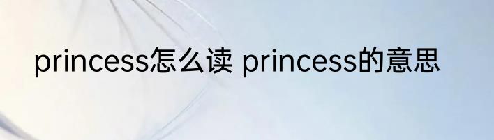princess怎么读 princess的意思