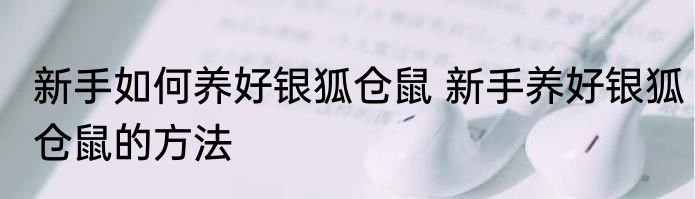 新手如何养好银狐仓鼠 新手养好银狐仓鼠的方法