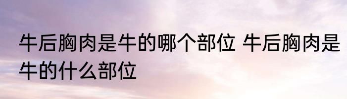 牛后胸肉是牛的哪个部位 牛后胸肉是牛的什么部位
