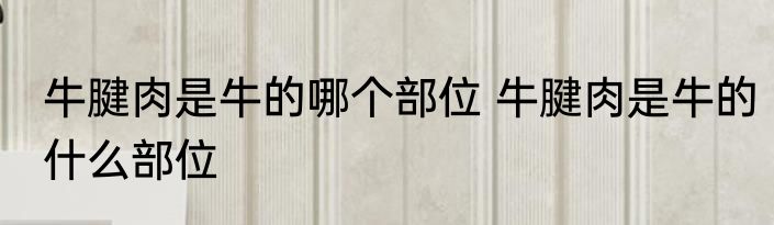 牛腱肉是牛的哪个部位 牛腱肉是牛的什么部位