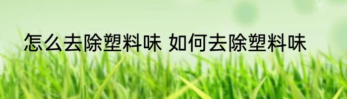 怎么去除塑料味 如何去除塑料味