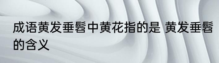 成语黄发垂髫中黄花指的是 黄发垂髫的含义