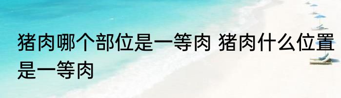 猪肉哪个部位是一等肉 猪肉什么位置是一等肉