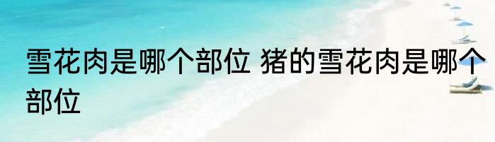 雪花肉是哪个部位 猪的雪花肉是哪个部位