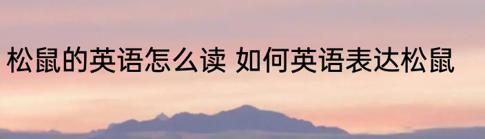 松鼠的英语怎么读 如何英语表达松鼠