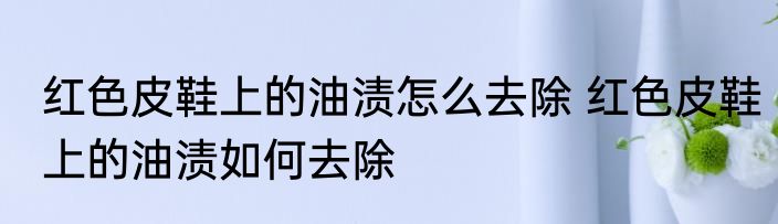 红色皮鞋上的油渍怎么去除 红色皮鞋上的油渍如何去除