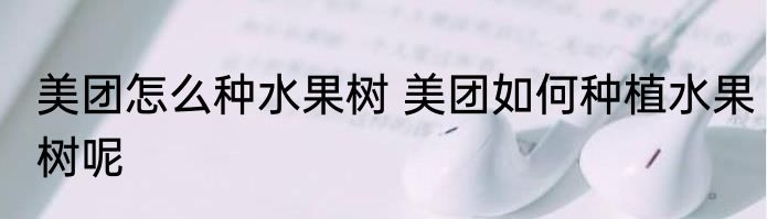美团怎么种水果树 美团如何种植水果树呢