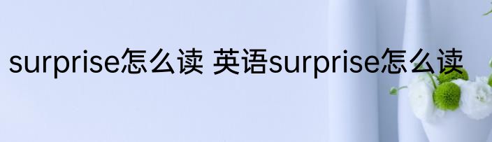 surprise怎么读 英语surprise怎么读