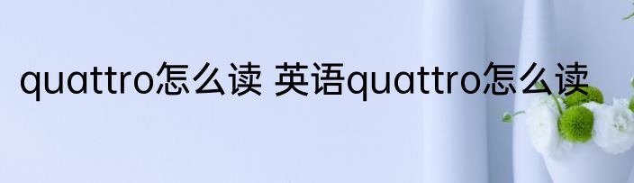 quattro怎么读 英语quattro怎么读