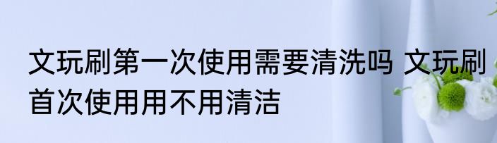 文玩刷第一次使用需要清洗吗 文玩刷首次使用用不用清洁