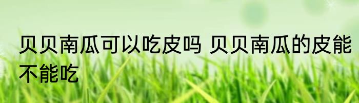 贝贝南瓜可以吃皮吗 贝贝南瓜的皮能不能吃