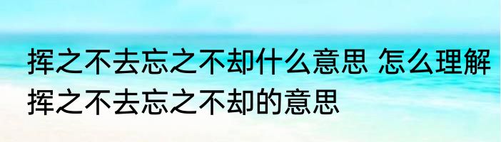 挥之不去忘之不却什么意思 怎么理解挥之不去忘之不却的意思