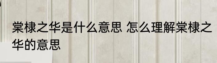 棠棣之华是什么意思 怎么理解棠棣之华的意思