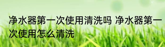 净水器第一次使用清洗吗 净水器第一次使用怎么清洗