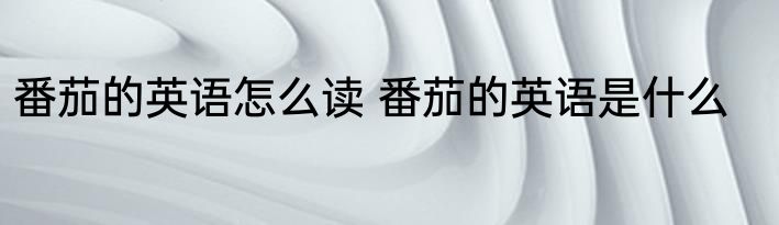 番茄的英语怎么读 番茄的英语是什么