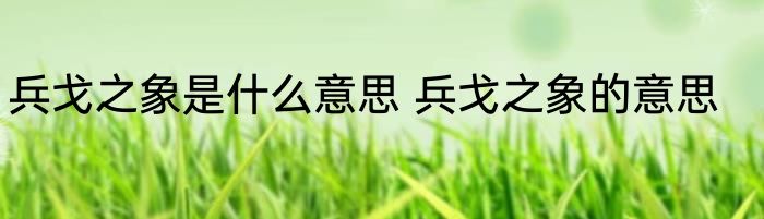 兵戈之象是什么意思 兵戈之象的意思