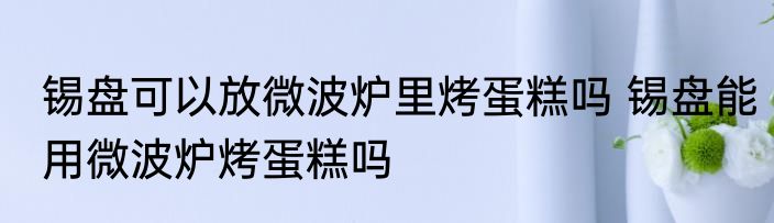 锡盘可以放微波炉里烤蛋糕吗 锡盘能用微波炉烤蛋糕吗