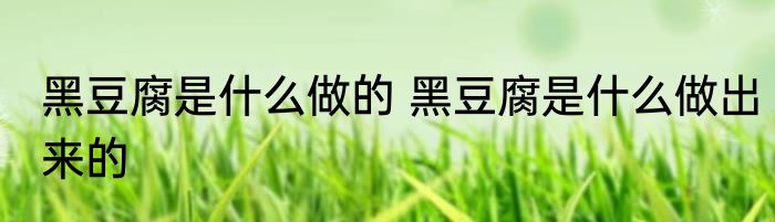 黑豆腐是什么做的 黑豆腐是什么做出来的