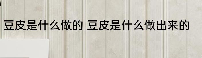 豆皮是什么做的 豆皮是什么做出来的
