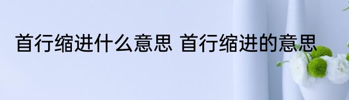 首行缩进什么意思 首行缩进的意思