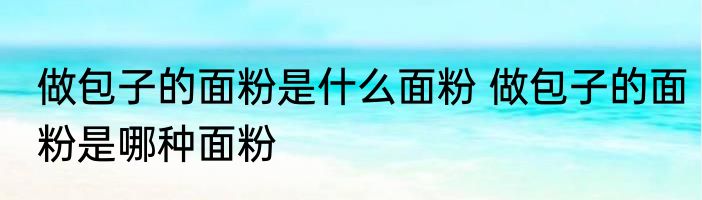 做包子的面粉是什么面粉 做包子的面粉是哪种面粉