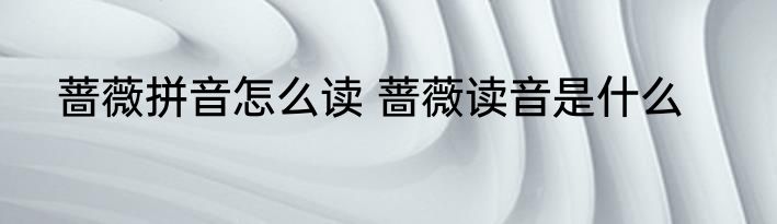 蔷薇拼音怎么读 蔷薇读音是什么