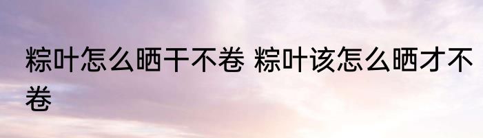 粽叶怎么晒干不卷 粽叶该怎么晒才不卷