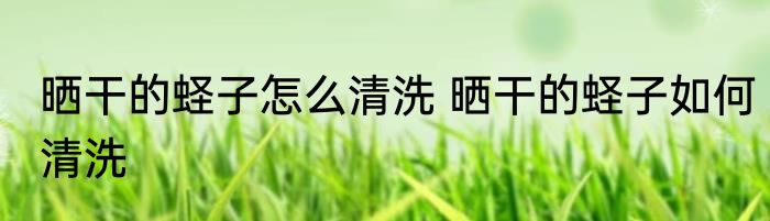 晒干的蛏子怎么清洗 晒干的蛏子如何清洗