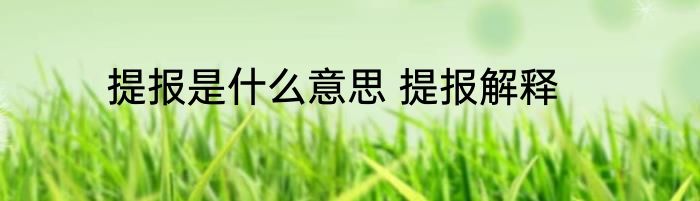提报是什么意思 提报解释