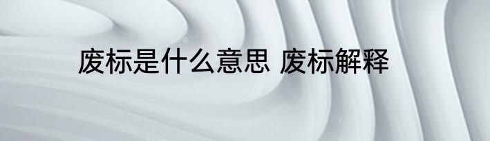 废标是什么意思 废标解释