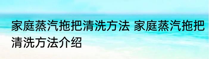家庭蒸汽拖把清洗方法 家庭蒸汽拖把清洗方法介绍