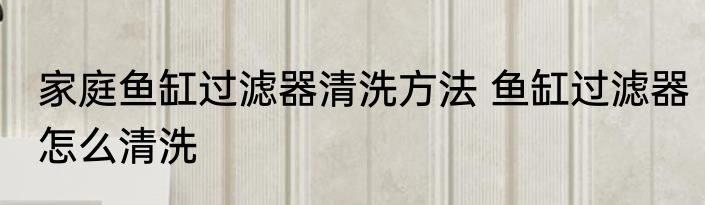 家庭鱼缸过滤器清洗方法 鱼缸过滤器怎么清洗