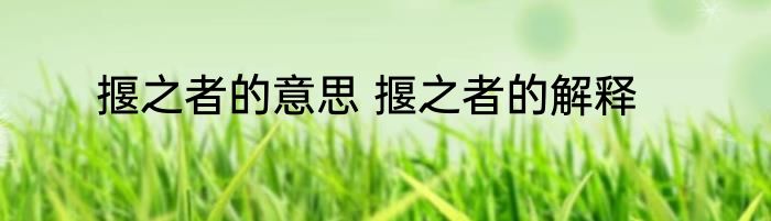 揠之者的意思 揠之者的解释