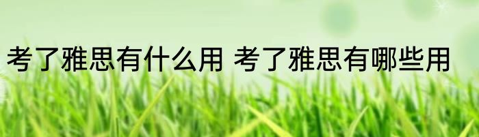 考了雅思有什么用 考了雅思有哪些用