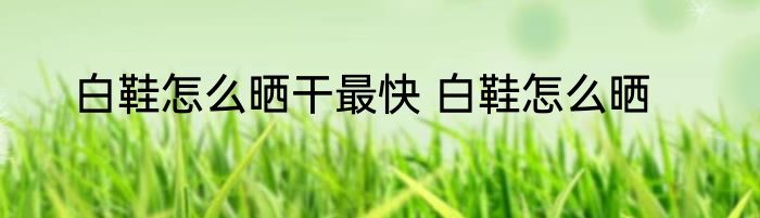 白鞋怎么晒干最快 白鞋怎么晒