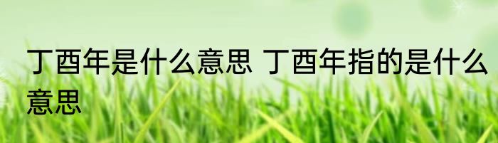 丁酉年是什么意思 丁酉年指的是什么意思