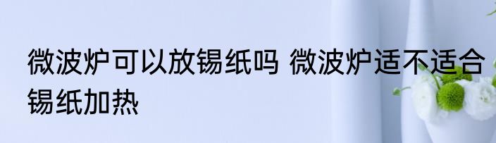 微波炉可以放锡纸吗 微波炉适不适合锡纸加热